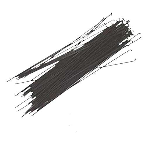 X|[N SHiX[wbhj/14-SB 13X264 X^[uCg  36{