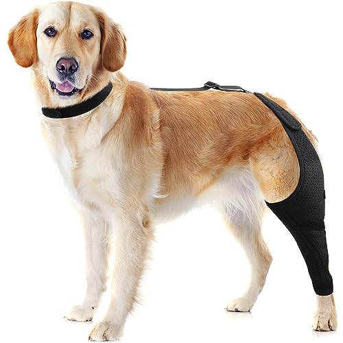 Image of Dog Knee Brace - Knee Cap Dislocation for ACL, CCL, Cruciate Ligament Injury, Joint Pain and Muscle Sore, Adjustable Dog Rear Legs Bracer with Metal Side Stabilizers (Black, Medium-Right)