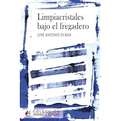 Fregadero Tapado Limpiacristales bajo el fregadero