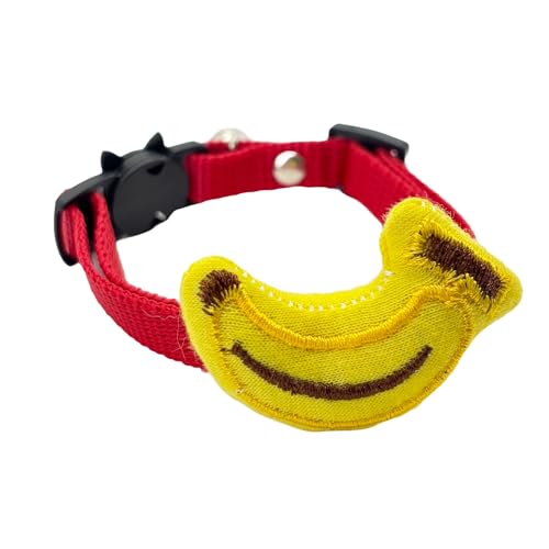 ˂{ ΂ɂɂ̎ ӂӂ oiit L  S Z[teB[ t a y \ { nhCh (bh)