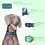 Roses&Poetry Dog Collars for Medium Dogs, Adjustable Durable Pet Collars for Small Medium Large Dogs (Bluegreen-M) - Image 3