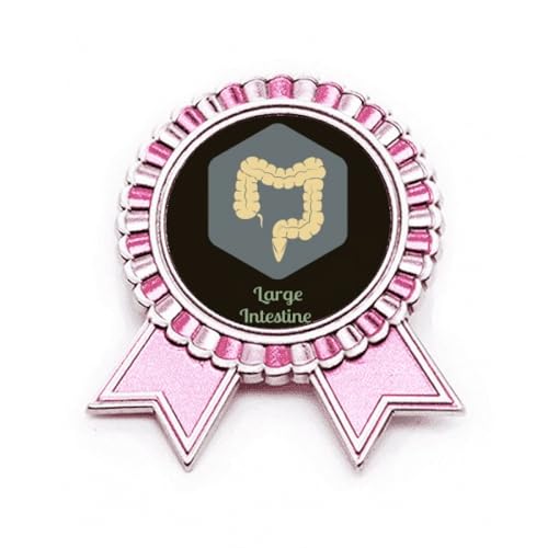 Broche intestin rose en métal M, le cadeau idéal pour interne en médecine