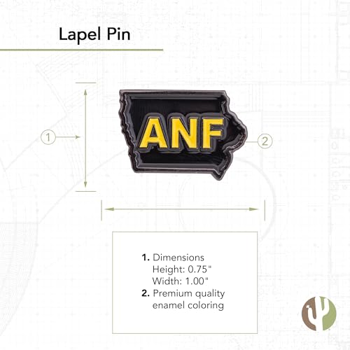 Image of Desert Cactus University of Iowa Lapel Pin IOWA Hawkeyes Made of Metal for Formal Wear, Bag and Hat Jewelry, and Tie Tack (Pin D)