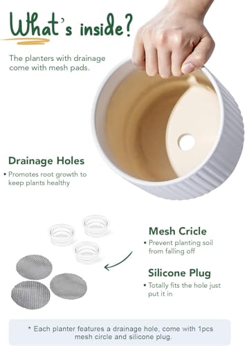 Image of LE TAUCI Ceramic Pots for Plants, 8+6.7+5.5 Inch Plant Pots Indoor, Flower Pot with Drainage Holes, Medium Cylinder Planters for Indoor House Plants, Set of 3, White