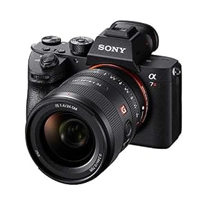 Sony E-mount FE 24mm F1.4 GM Full Frame Wide-angle Prime Lens (SEL24F14GM) (Renewed) — photo 6 of 6