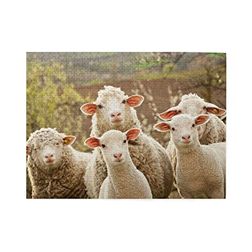 500s[X WO\[pY ؐpY řQ  CeA G Jt  q l  vwɓK mߋ ]`W G̃pY sN`ApY Puzzle