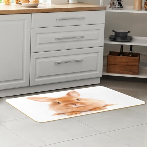 Tapete de cocina para pasillo y cuarto de lavado con estampado de conejo bonito 7