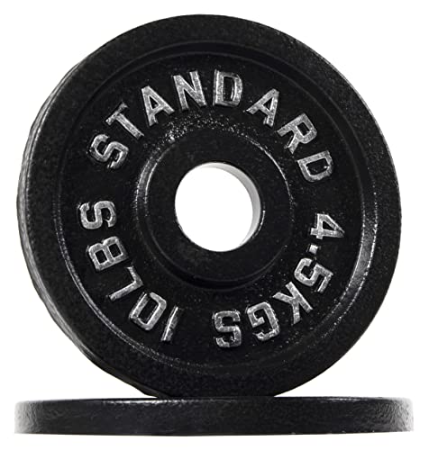 Sporzon! Cast Iron Plate Weight Plate for Strength Training...