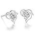 Titanium Stainless Steel Lady's Charming Stud Earring with a Gift Box and a Free Small Gift