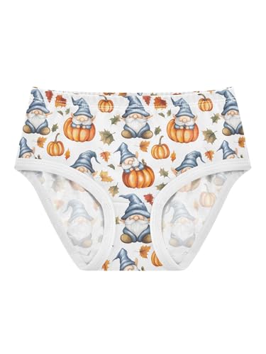 ZZKKO Blue Gnomes Orange Pumpkins Girls Underwear Toddler Panties for Girls Comfort Brief Size 2T