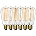Hudson Bulb Co. Vintage Incandescent Edison Light Bulbs, 60W, E26/E27 Base, 2100K Dimmable Decorative Lights, ST58 Style Warm Glow, Antique Spiral Filament for Outdoor and Indoor Use - 6 Pack