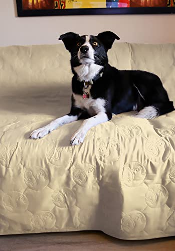 Pawsse Coperta Impermeabile per Cani, copridivano