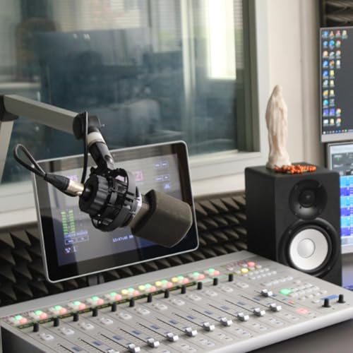 ITW-T&eacute;moignage 2026-02-11 Emilie Naeem : des t&eacute;n&eacute;bres &agrave; la lumi&egrave;re