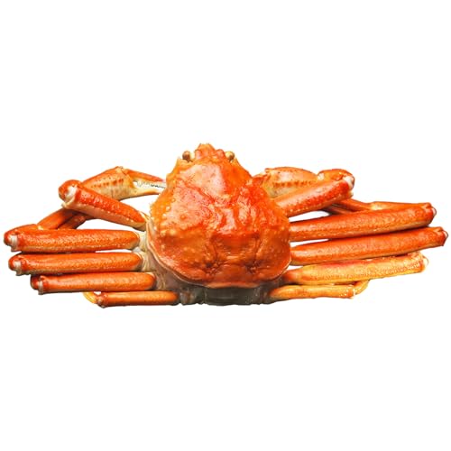 海祥 [カニ酢付き]訳あり!釜茹で!本ずわいがに姿 500g×1杯