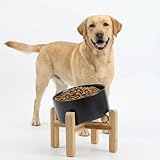 Petygooing Black Elevated/Raised 15° Slanted Ceramic Dog Bowl for Large and Medium Breeds, Pet Anti Slip Feeding Bowl,Food Water Dish with Stand for Large and Medium Dogs (60 OZ / 7.6 Cup)