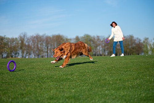 PULLER Midi Interaktives Hundespielzeug Fitness-Tool-Set