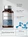 Horbaach Benfotiamine 300mg | 60 Capsules | Vitamin B1 Thiamine | Non-GMO & Gluten Free Supplement