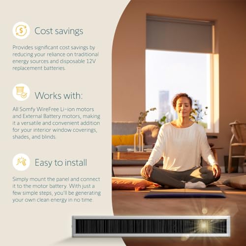 Somfy Wirefree Li-ion Solar Panel Kit 2-Pack - Solar Panel Power for RTS Motorized Shades, Blinds and Curtains - Long Lasting, Easy to Install - Includes Brackets and Glass Mount Adhesive #9027294 - Thumbnail 2
