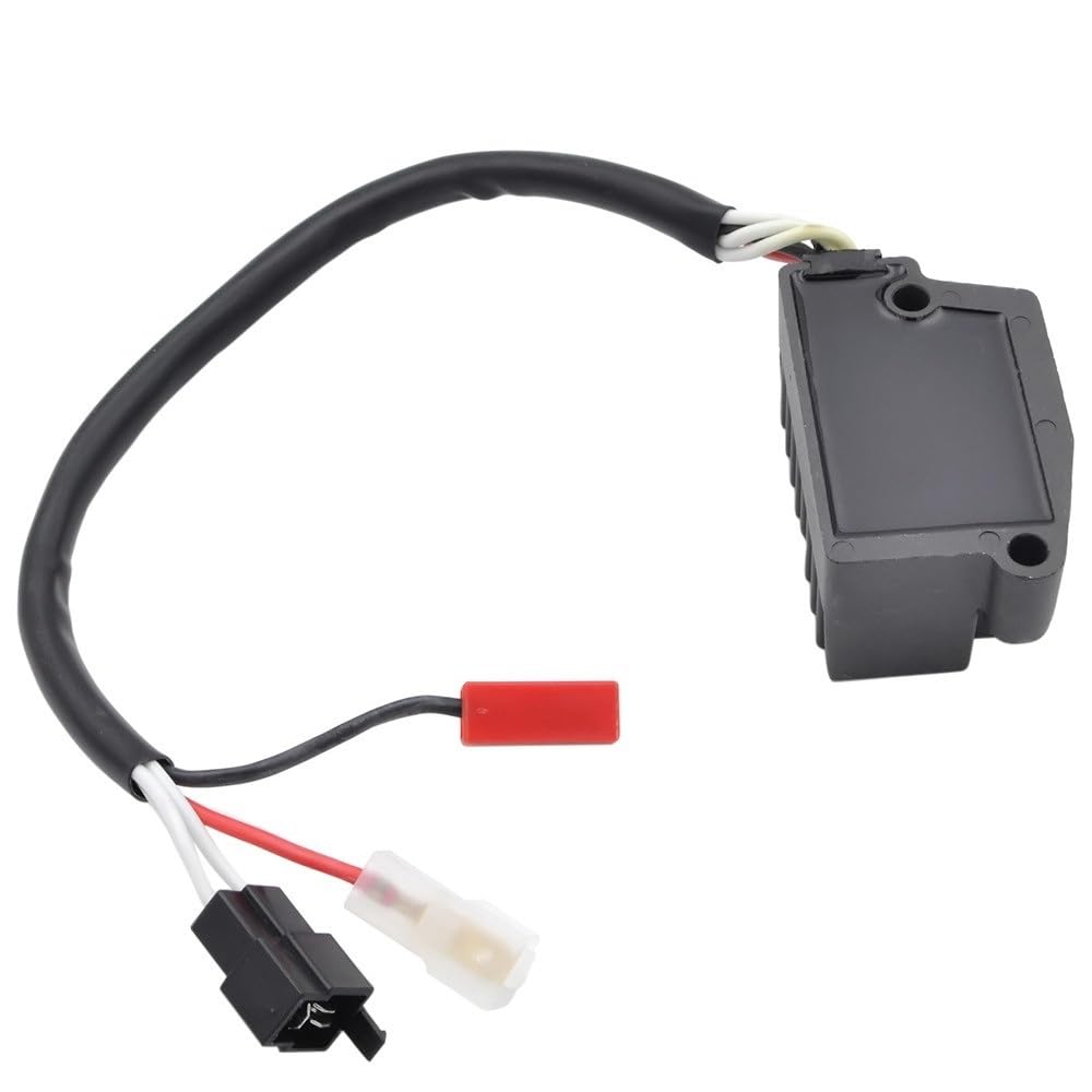 Amazon.com: ZZCGYHGDR Motorcycle Voltage stabilizer