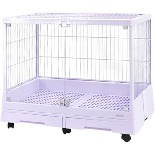 pP[W ETMP[W LX^[t bg̟B Tufduzo e dot ybge ړȒP |ȒP gݗ (C)