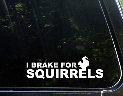 Diamond Graphics I Brake for Squirrels (8-3/4