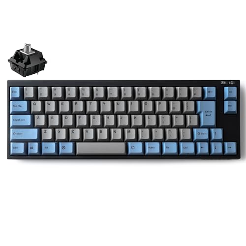 LEOPOLD FC660MBT GRAYBLUE Bluetooth/USB-C ���{��z�� ���Ȗ� ���L�[�t�R���p�N�g 65% 70�L�[ �X�C�b�`�z�b�g�X���b�v�Ή� Windows/macOS �P4�d�r�쓮 �ŐVCHERRY MX2A�X�C�b�` (FC