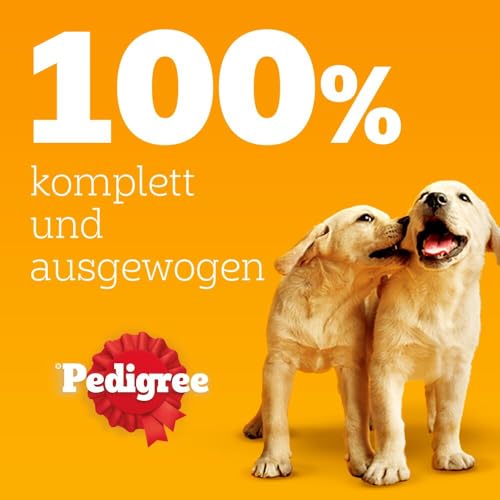 Pedigree DOGCARE Hundefutter Portionsbeutel Chunks in Gelee Junior 4 x 12 x 100g