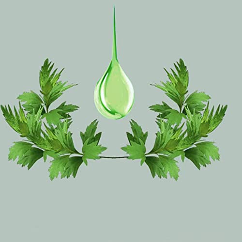 Mens Slip-On Breathable Mesh Martial Arts Old Chinese Beijing Cloth Shoes, Lightweight Non-Slip Comfortable Outdoor Fashion Breathable Rubber Sole, for Judo, Parkour, Park, Parkour2