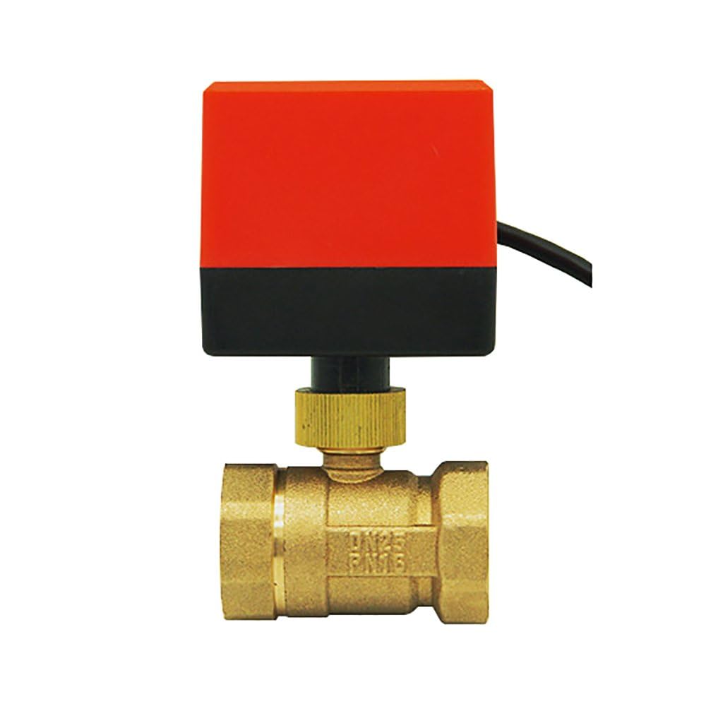 DN15 DN20 DN25 DN32 DN40 DN50 Valvola Motorizzata AC220V AC24V DC12V 2 vie ottone valvola sfera motore del Attuatore (AC220V DN25)