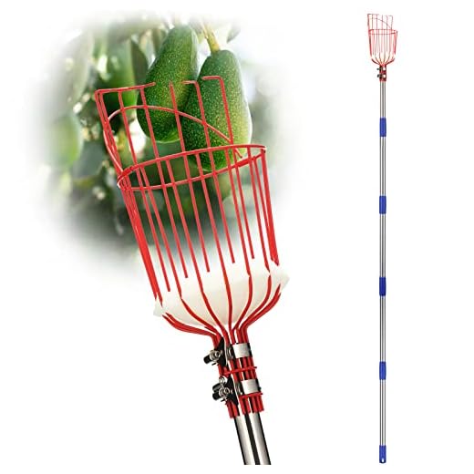 Adjustable Fruit Picker Pole with Metal Basket
