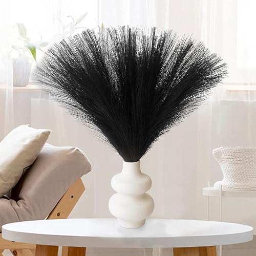Erba di Pampa Essiccata Nera, Decorazione Boho