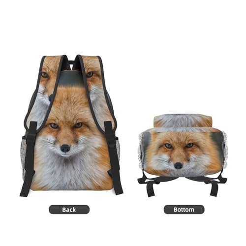 Sac à dos ordinateur portable EdWal Fox avec compartiment matelassé noir et léger