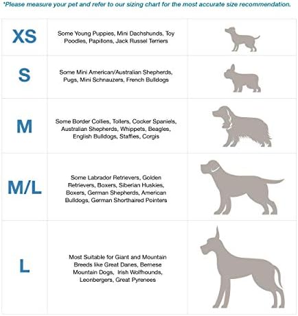 blue 9 balance harness