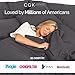 Queen Sheet Set - 100% Cotton Sheets - 4 Piece Queen Size Cotton Bed Set with Deep Pockets up to 16 Inches - Ultra Soft, Breathable & Cooling - Fade and Stain Resistant - Machine Washable - Dark Grey
