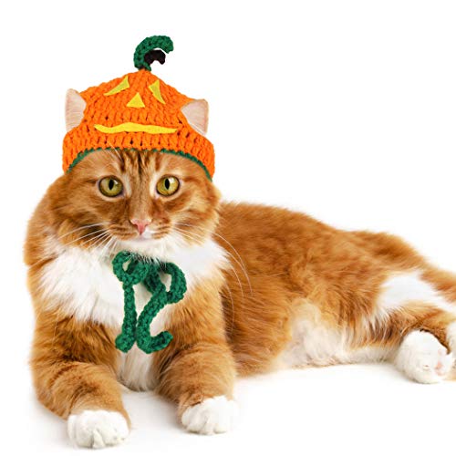 Legendog Cat Halloween Costume Handmade Pet Pumpkin Hat Halloween Apparel for Cats Puppy Small Dogs