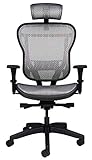 Oak Hollow Furniture Aloria Series Office Chair Ergonomic Executive Computer Chair Mesh Seat and...