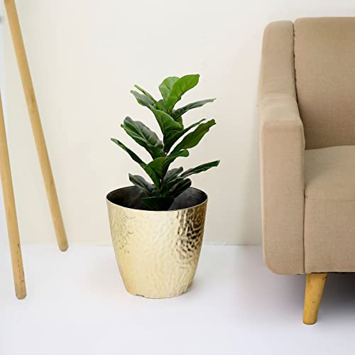 Our Best Flower Pot Plants Top 11 Model Reveled! BNB