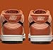 Nike Dunk Mid, Size 10 M US / 11.5 W US, Amber Brown/Dark Russet/Phantom/Black