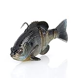 Savage Gear 3D Bluegill RTF Fishing Bait, 3/4 oz, Ghost Gill, Realistic Contours, Colors & Movement, Durable Construction, Heavy-Duty Jig Fishing Hook, Built-in Rattle, Scent Infused