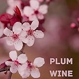 Plum Wine
