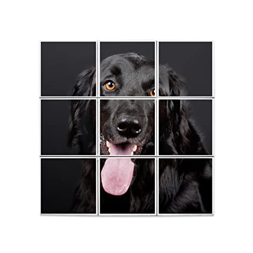 Carreaux céramique Labrador Noir grand chien mignon faïence murale 60x60 cm