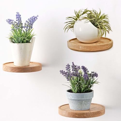GAOUTO 3er Wandregal rund Ø15cm Schweberegal Rund Holz Wandregal Klein Pflanzenregal Holzregal Schweberegal Holz Hängeregal wandboard Deko Regal Wandbefestigung für einen Blumentopf