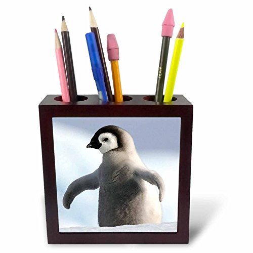 3dRose ph_4181_1 Baby Penguin Tile Pen Holder, 5-Inch