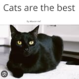 Cats are the best
