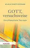 Gott, versuchsweise: Eine philosophische Theo-Logie - Wilhelm Schmidt-Biggemann 