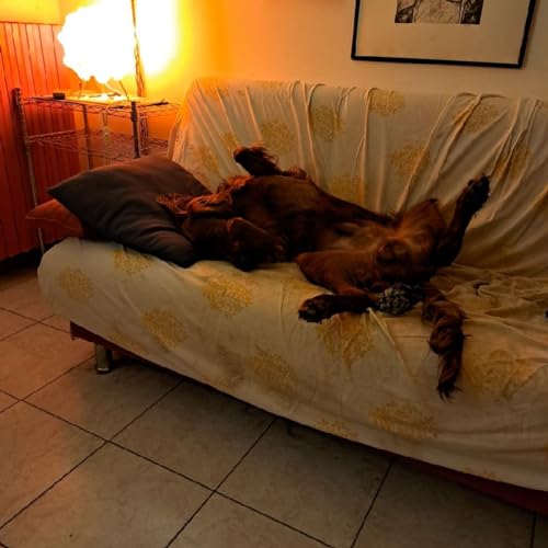 Episodio 12 - Onda Radio-The Big One