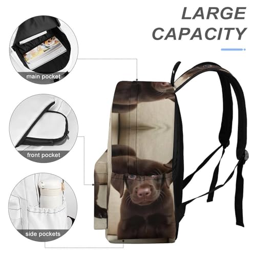 SWEET TANG Funny Backpack for Men Women College Laptop, Lightweight Travel Hiking Backpack Compatible with Puppy Chocolate Lab Backpack for Textbook Bottle4