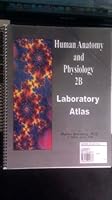 Human Anatomy and Physiology 2b Laboratory Atlas 1936044390 Book Cover