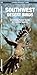 Southwestern Desert Birds: An Introduction to Familiar Species