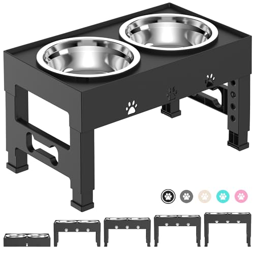 Top 10 Elevated Dog Food Bowls for Healthy and Happy Pups Our Buying
